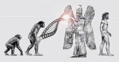 Mankind-Human-Species-Missing-Link-the-Anunnaki