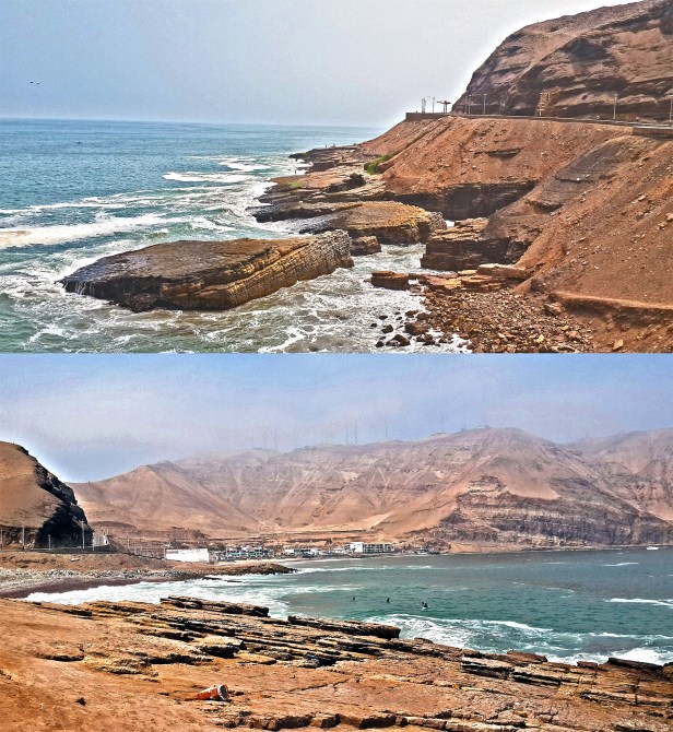 Şekil 2: Peru Kahverengisi
