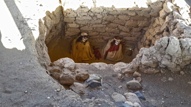 20150428_073139 - Kopya