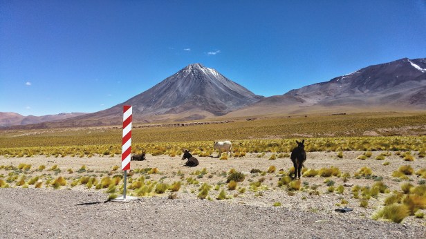 20151116_113240_HDR~2