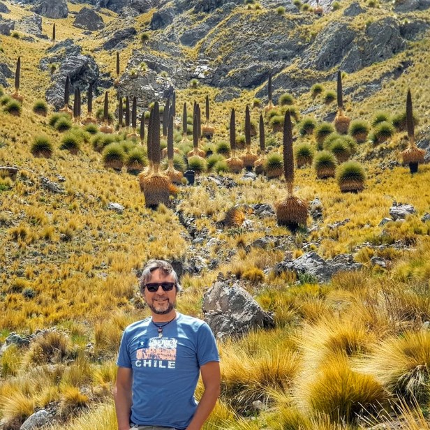 Mehmet Mollaosmanoğlu